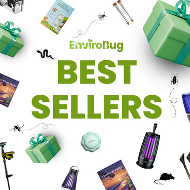 Our Best Sellers ! image